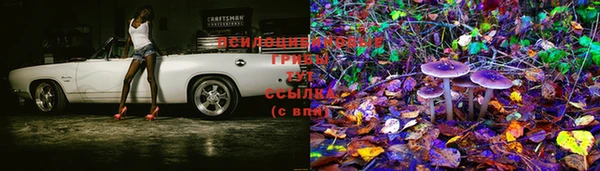 таблы Нефтегорск